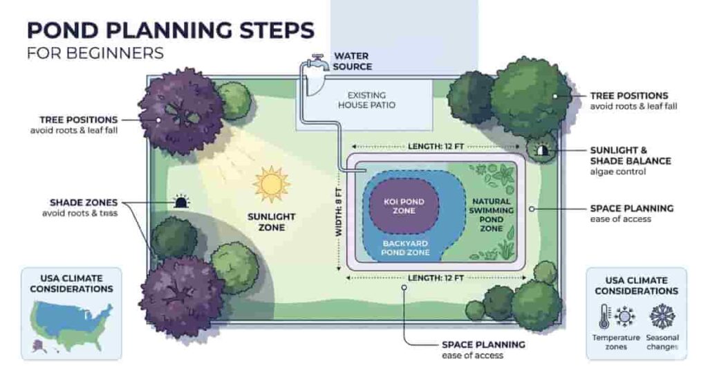 Professional backyard pond planning infographic showing location, sunlight, pond type, and dimensions for pond DIY construction.